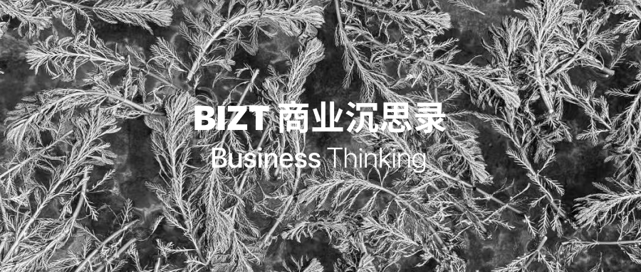 BIZT 商业沉思录封面